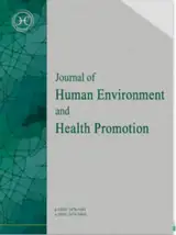 The Effect of an Educational Intervention Based on the Health Action Process Approach on Physical Activity among Retired Female Employees