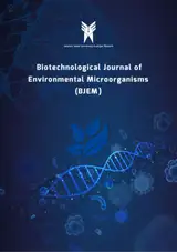 Grape Seed Extract Loaded Amino Functionalized SBA-۱۵ Mesoporous Silica Nanoparticles as a potential drug delivery System: Antibacterial activity and release kinetics studies