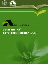 Hydrophilic extract of Pistacia vera pericarp protects against phenylhydrazine–induced hepatotoxicity and hemolytic anemia