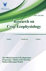Identification of Coccinellid and Orius Species in Isfahan Maize Fields