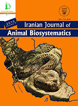 Phenotypical variation and Distribution of the Snake-eyed Skink, Ablepharus bivittatus (Sauria: Scincidae), Iran