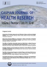 Catastrophic Health Expenditure and its Determinants Among Older Adults in Tehran, Iran