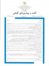 شناسایی و بررسی صحرایی زنجره مو در زنجان