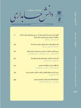 ارائه چارچوبی برای تدوین الگوی بهینه گزارشگری مالی صندوق های بازنشستگی در ایران
