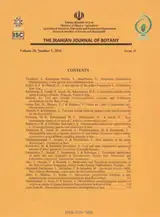 A taxonomic revision of Tanacetum polycephalum (Asteraceae, Anthemideae) species complex from Iran