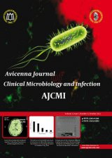 Evaluation of Nosocomial Infections in a Teaching Hospital