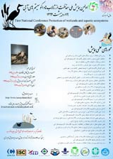 گنجینه های بکر و ناشناخته در استان کهگیلویه و بویر احمد