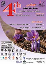 بررسی امکان تولید متابولیت های ثانویه زعفران Crocus sativus L در سیستم کشت سلولی