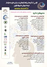 بررسی جرم منازعه دسته جمعی در حقوق ایران