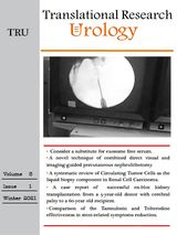 Synergistic Effect of Curcumin on Controlling Irritative Urinary Symptoms After Benign Prostatic Enlargement Endoscopic Surgery Compared with Anticholinergic Therapy Alone