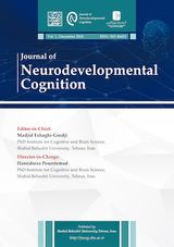 Can computerized cognitive training enhance executive functions in healthy young adults? A preliminary study
