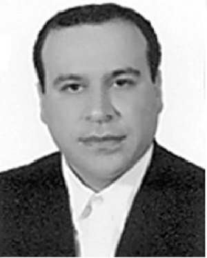حامد محمدی