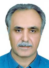محمود دانشور کاخکی