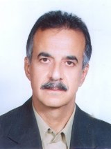 سیدمحسن حبیبی