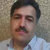 سید حسن رضوی