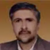 مجتبی عطارزاده